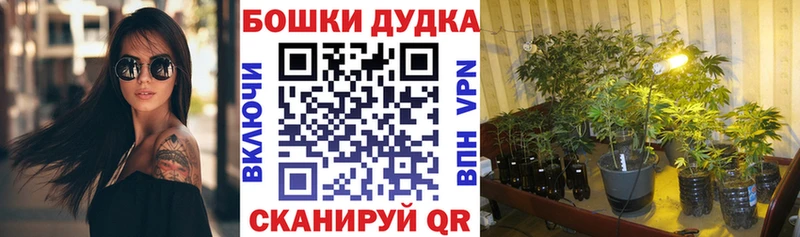 МАРИХУАНА план Семёнов